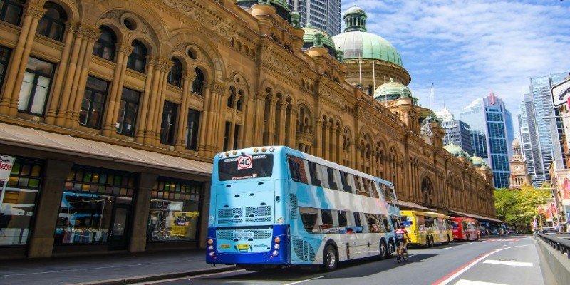 Where to Stay in Sydney for Fresh Air, Green Space, and Easy Transport